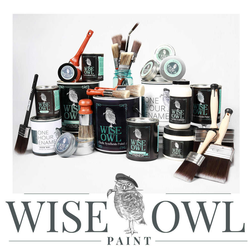 Wise Owl Paint