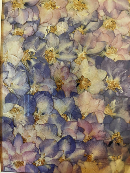 Julie Anne Pink & Purple Floral Art