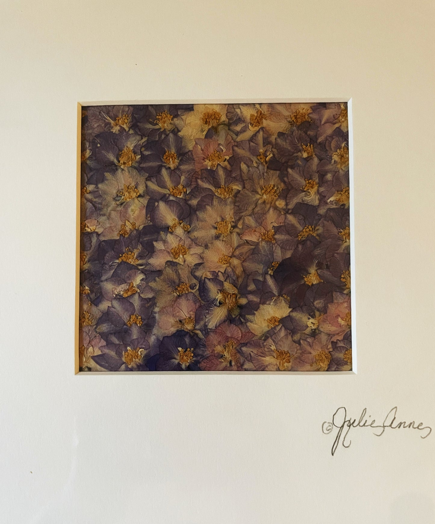 Julie Anne Dried Floral Artwork Violet Purple Yellow