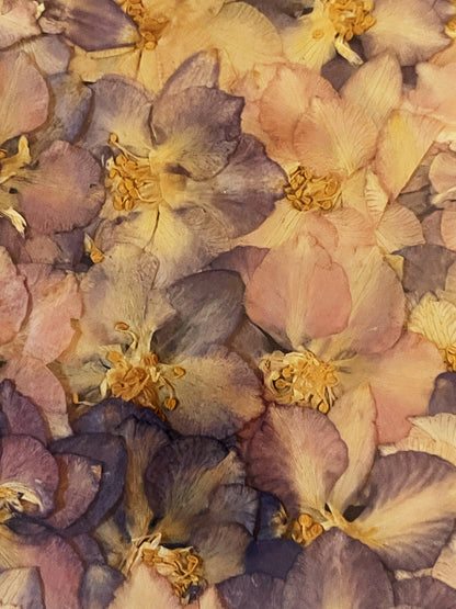 Julie Anne Pink & Purple Floral Art