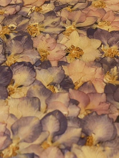 Julie Anne Pink & Purple Floral Art