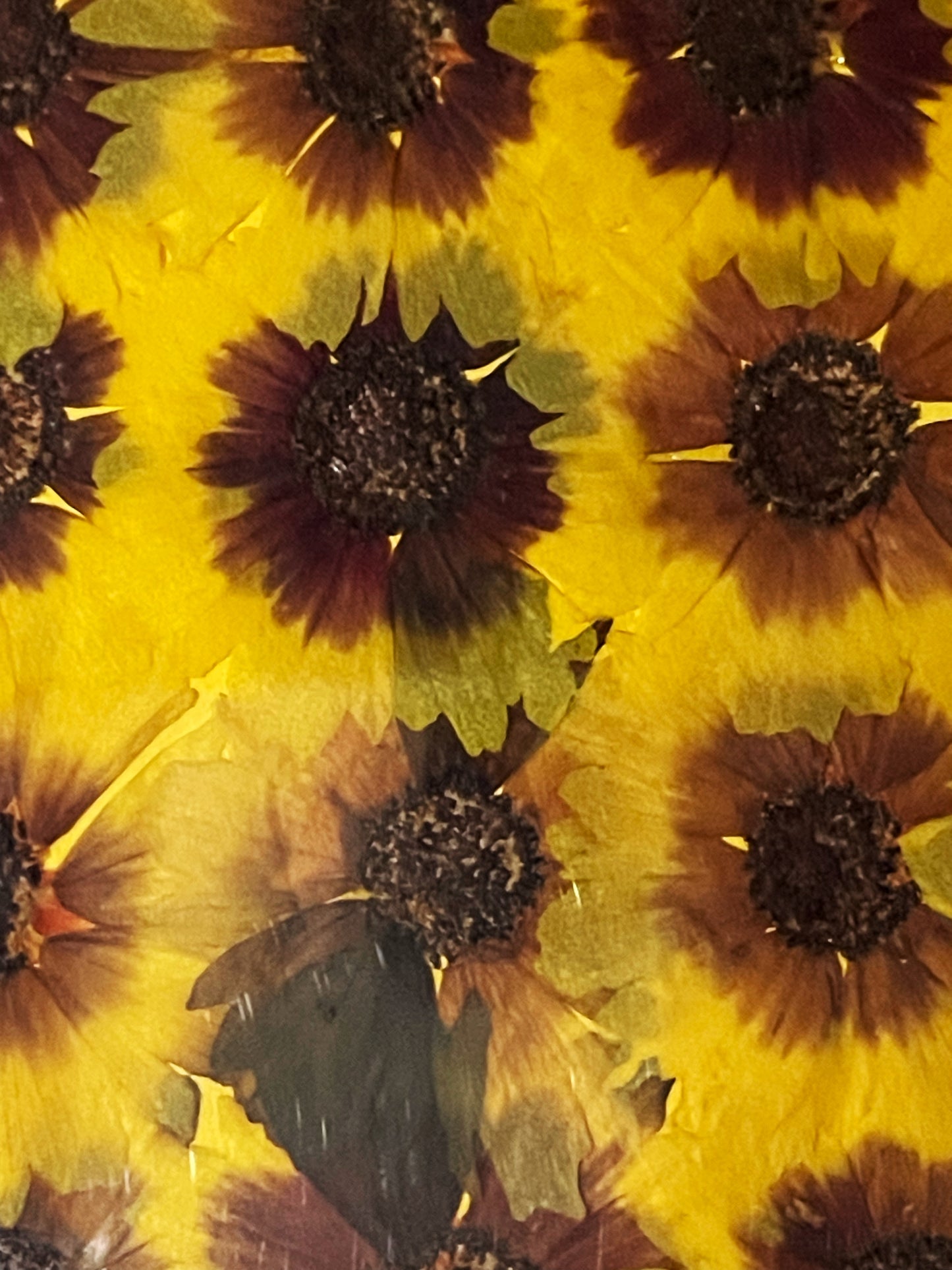 Julie Anne Yellow & Red Floral