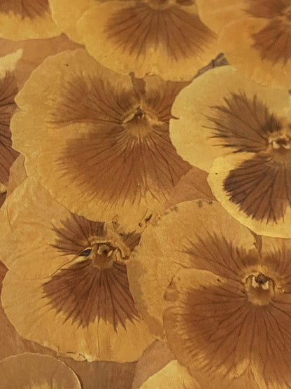 Julie Anne Dried Florals in Yellows Gold Artwork