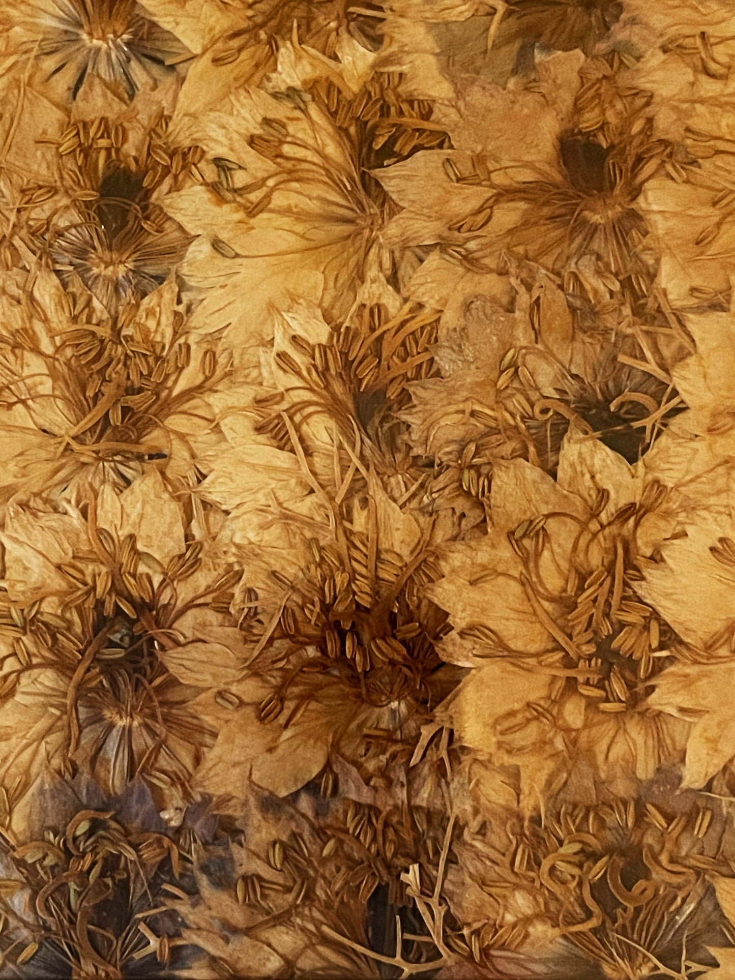 Julie Anne Floral Artwork in Golden Yellows