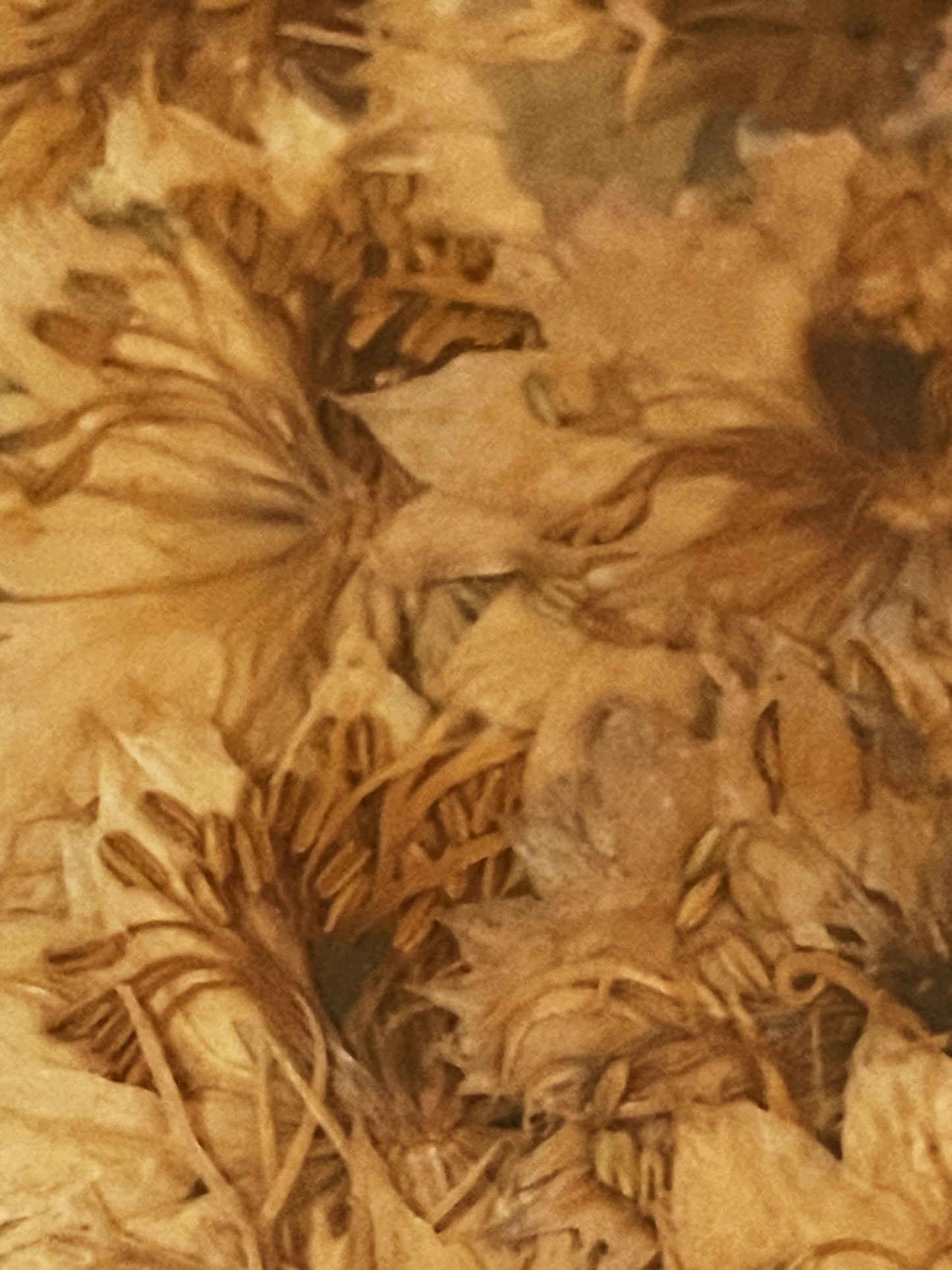 Julie Anne Floral Artwork in Golden Yellows