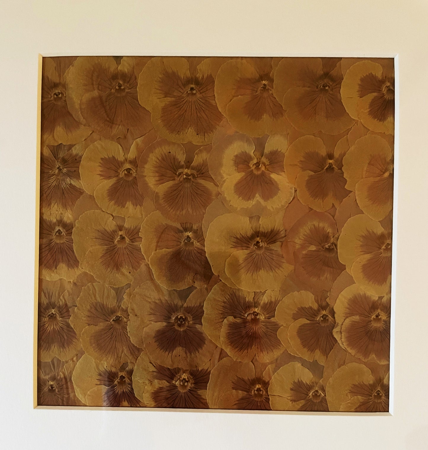Julie Anne Golden Yellows Dried Floral Artwork