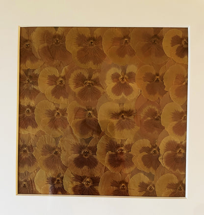 Julie Anne Golden Yellows Dried Floral Artwork