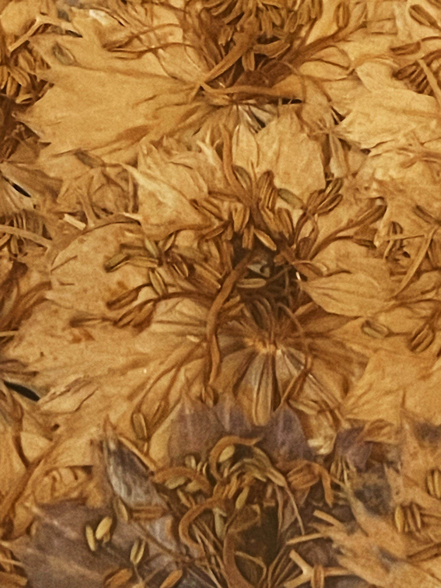 Julie Anne Floral Artwork in Golden Yellows