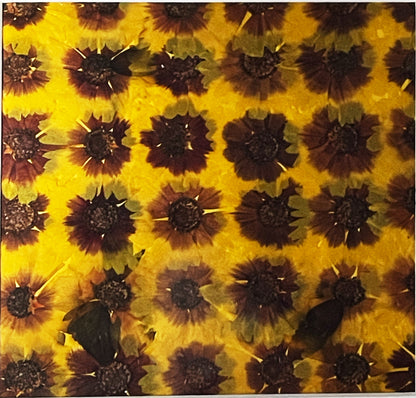 Julie Anne Yellow & Red Floral